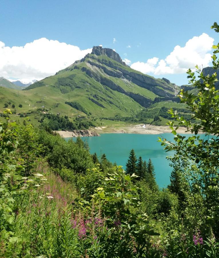 Chalet de Roselend Beaufort  Buitenkant foto